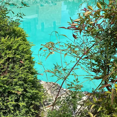 Olympus Theophilia בית נופש סקוטינה