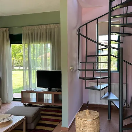 Olympus Theophilia *