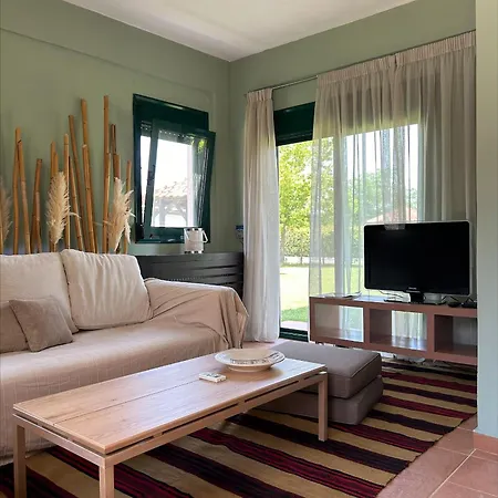 Olympus Theophilia * סקוטינה