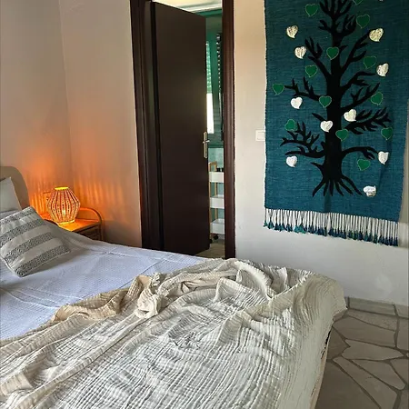 Olympus Theophilia *