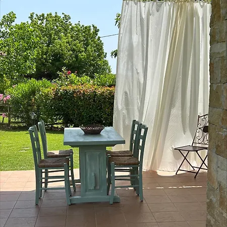 Olympus Theophilia *