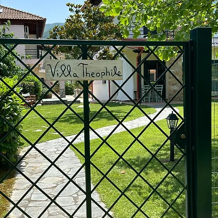 Olympus Theophilia סקוטינה