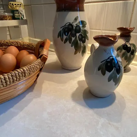 בית נופש Olympus Theophilia סקוטינה