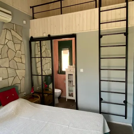 Olympus Theophilia * סקוטינה