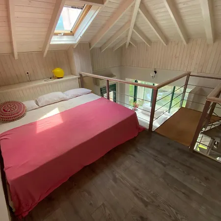 Olympus Theophilia סקוטינה