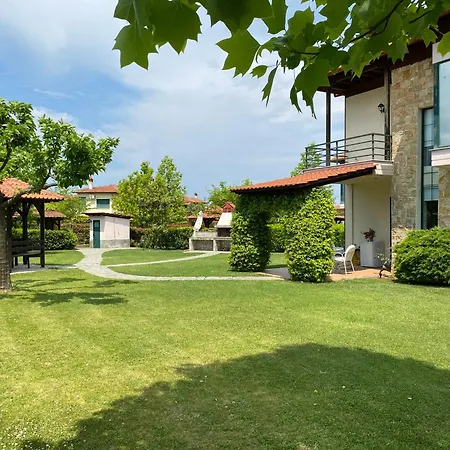 Olympus Theophilia * סקוטינה