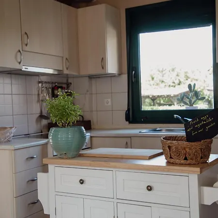 Olympus Theophilia *