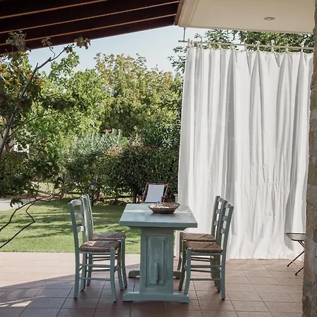 Olympus Theophilia * סקוטינה