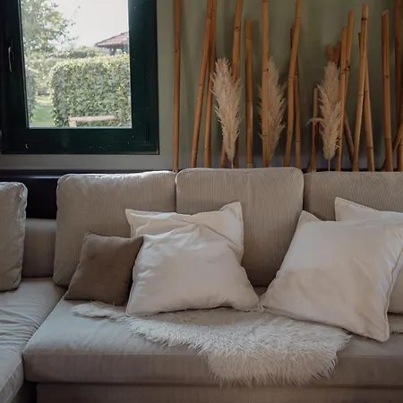 Olympus Theophilia *