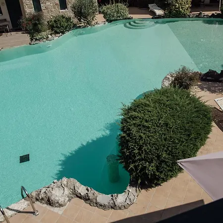 Olympus Theophilia סקוטינה