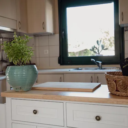 Olympus Theophilia * סקוטינה